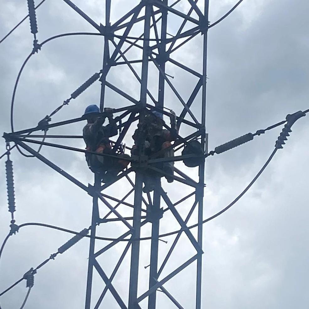 Equipes da Amazonas Energia retiraram bicho-preguiça de linha de transmissão.