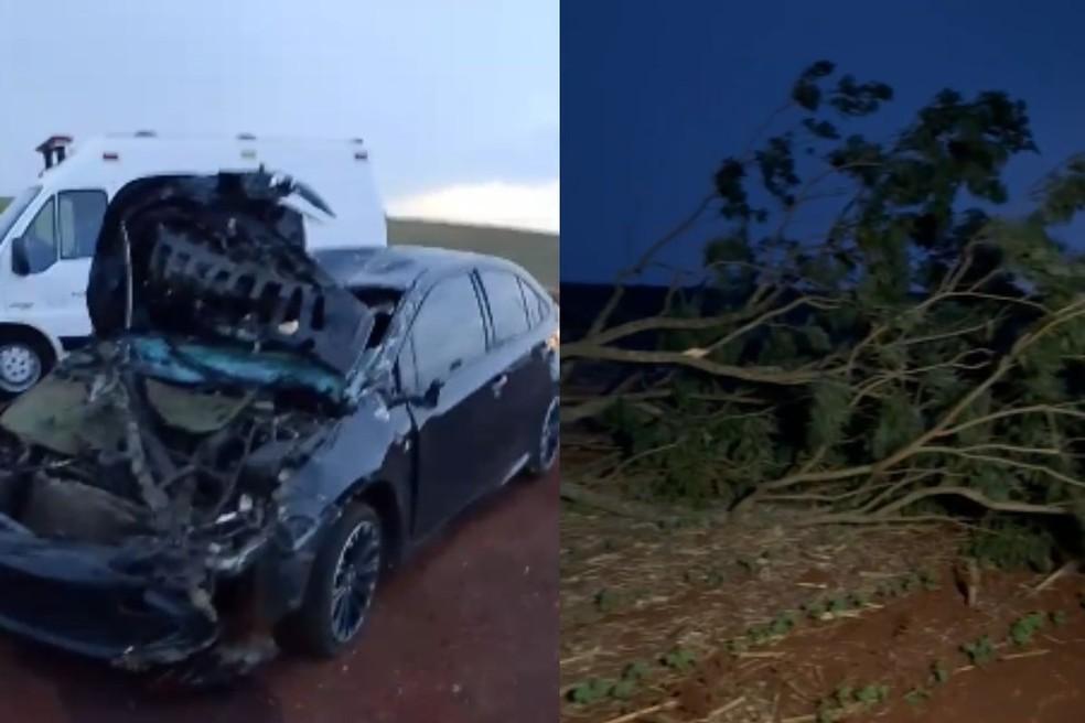 Árvore caiu em cima de carro do prefeito de Ivatuba na noite de sexta-feira.