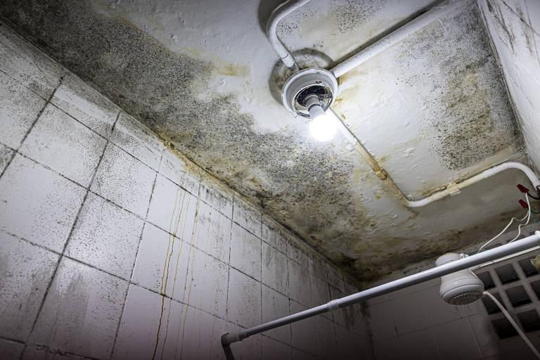 Veja imagens dos problemas no Crusp