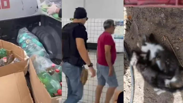 Comerciante Liberado Após Envenenamento de 32 Animais no Piauí