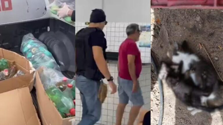 Comerciante Liberado Após Envenenamento de 32 Animais no Piauí