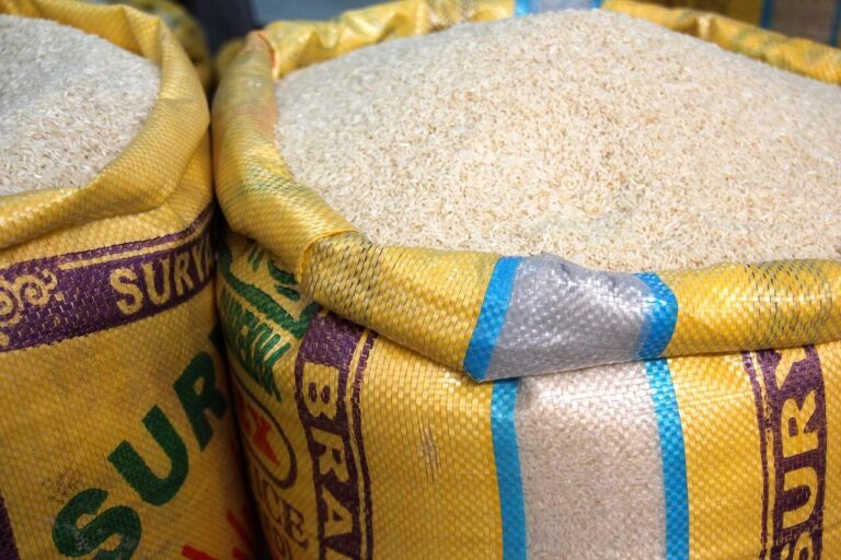 Tragédia em mergulho nas Maldivas: cinco turistas italianos falecem em acidente
