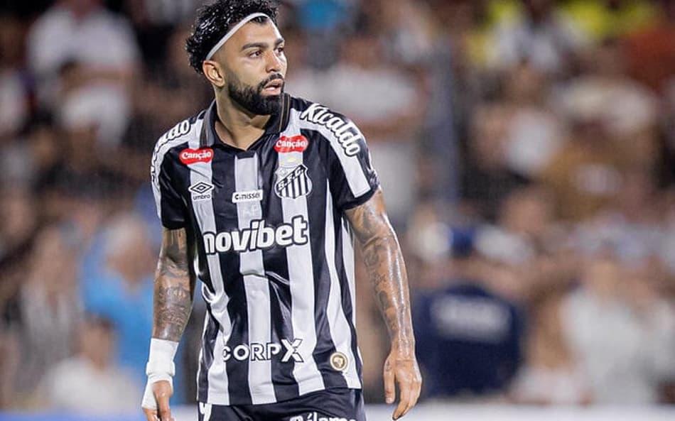 Gabriel Barbosa acumula 20 jogos e 9 gols pelo Santos nesta temporada.