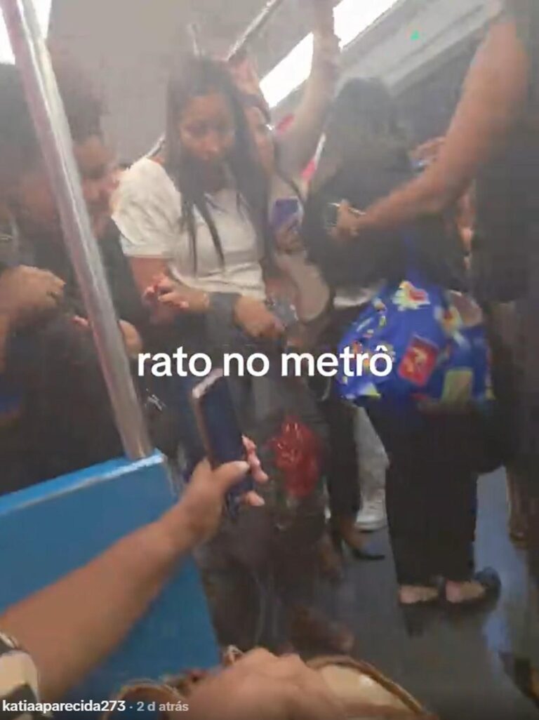 Rato causa pânico em vagão feminino do MetrôRio e vídeo viraliza nas redes sociais