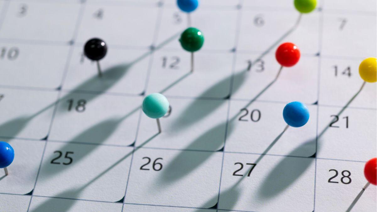 Calendário de dividendos e JCP