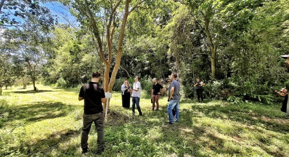 Projeto Reflora busca replantar 6 mil mudas em áreas afetadas pelas chuvas