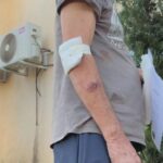 Pitbull heroico salva idoso de agressão do filho em São José do Rio Preto