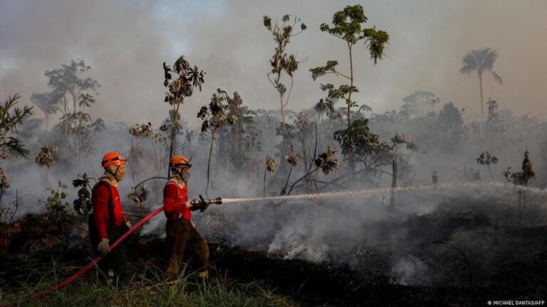 O Impacto do El Niño: Brasil se Prepara para Desafios Climáticos em 2026
