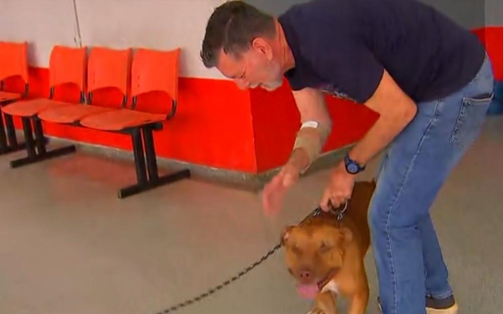 Idoso foi salvo pelo pitbull das agressões