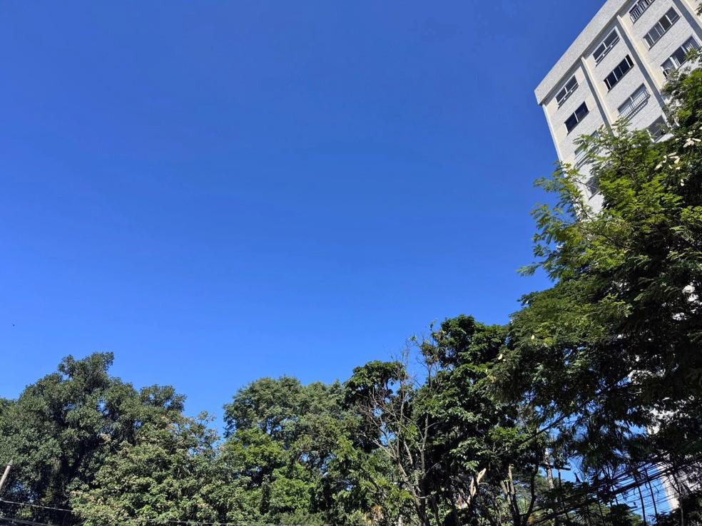 Céu sem nuvens no Jardim Botânico