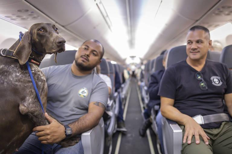 Homem com cachorro em poltrona do avião
