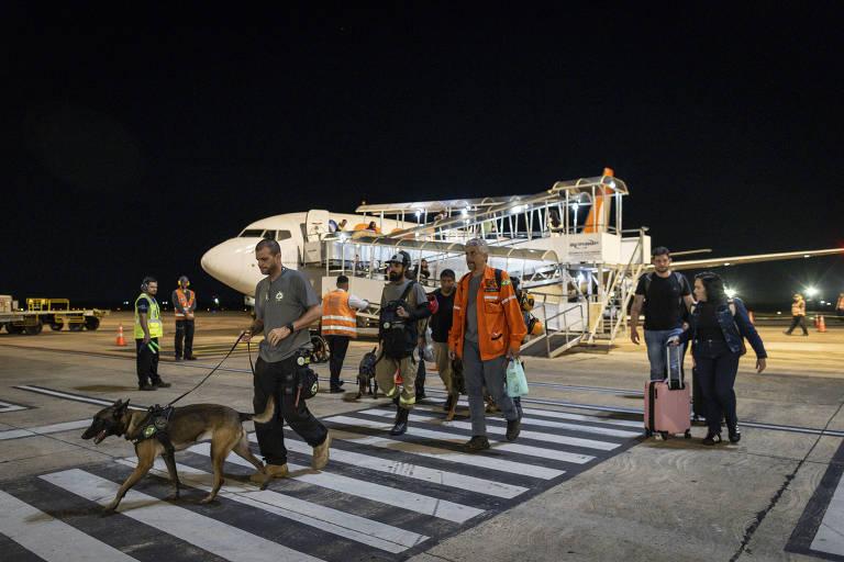 Equipe de resgate com cães no aeroporto