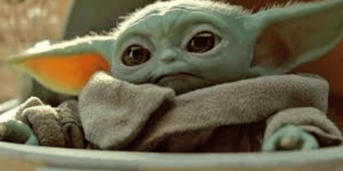 Grogu AKA The Child/Baby Yoda.