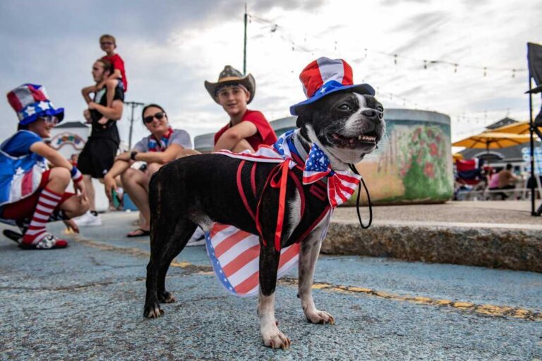 Cuidados com os Pets Durante os Fogos de Artifício: Dicas para um 4 de Julho Seguro