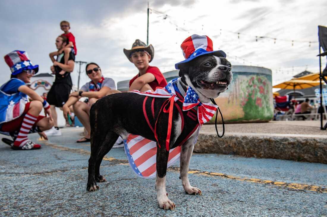 Cachorro Charlie vestido com temas da bandeira americana