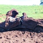 Trabalhadores encontram caminhonete enterrada durante obra em Pitanga, Paraná