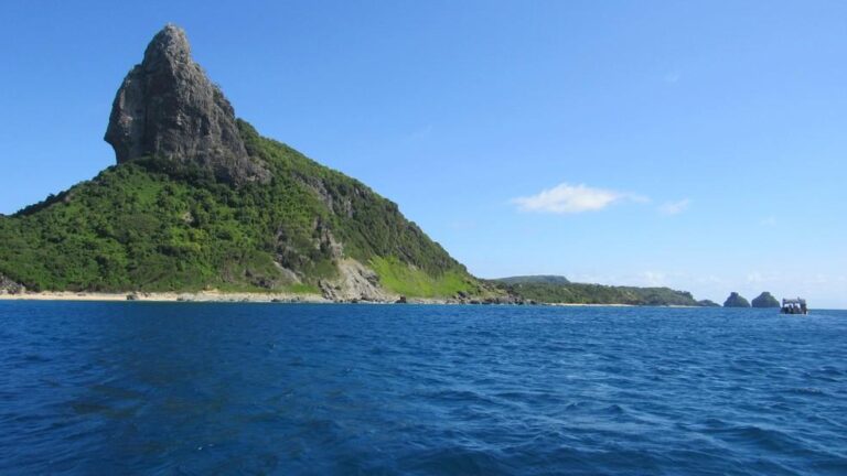 Partos Proibidos em Fernando de Noronha: Caso Excepcional Captura Atenção
