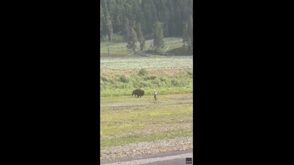 Um pescador teve um encontro próximo com um bisonte no Parque Nacional Yellowstone.