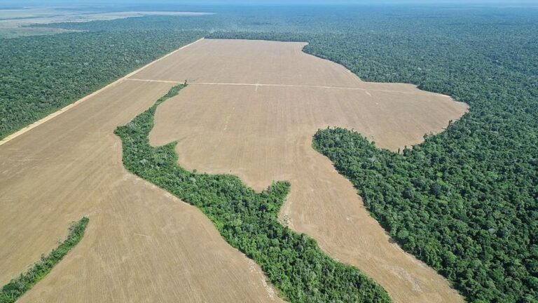 Relação Brasil e Noruega: Rivalidade e Cooperação em Diferentes Campos